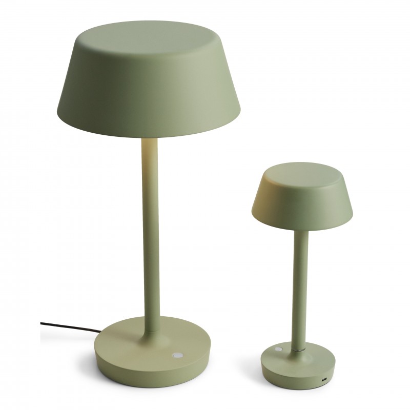AntidarkCompanionT1DustyGreen-01