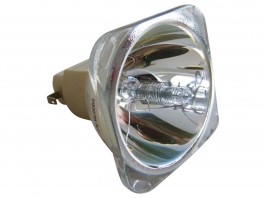 PretilACERP1265P-20