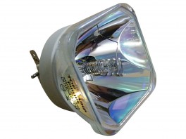 Pretil3MX56-20