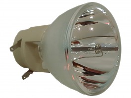 PretilACERM305-20